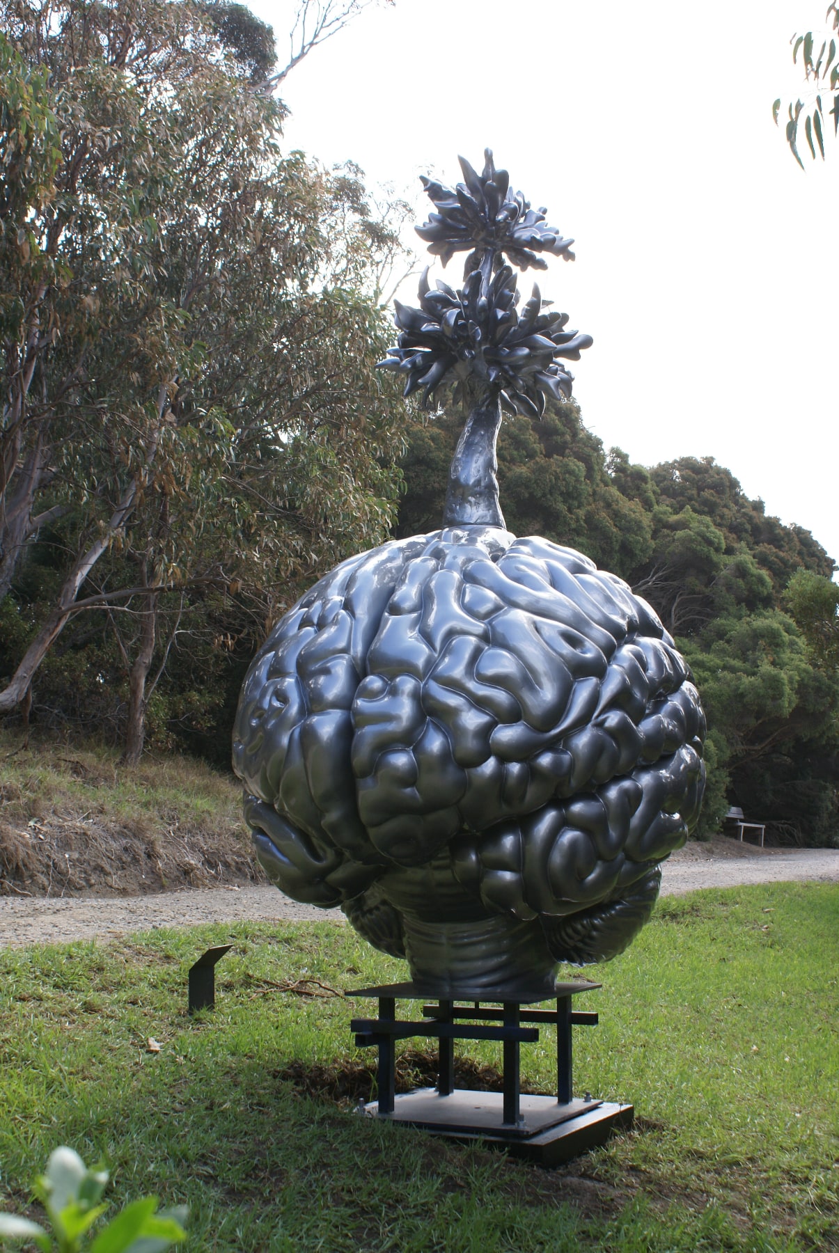 Brain and Tree, 2018. Available to purchase directly from the estate.